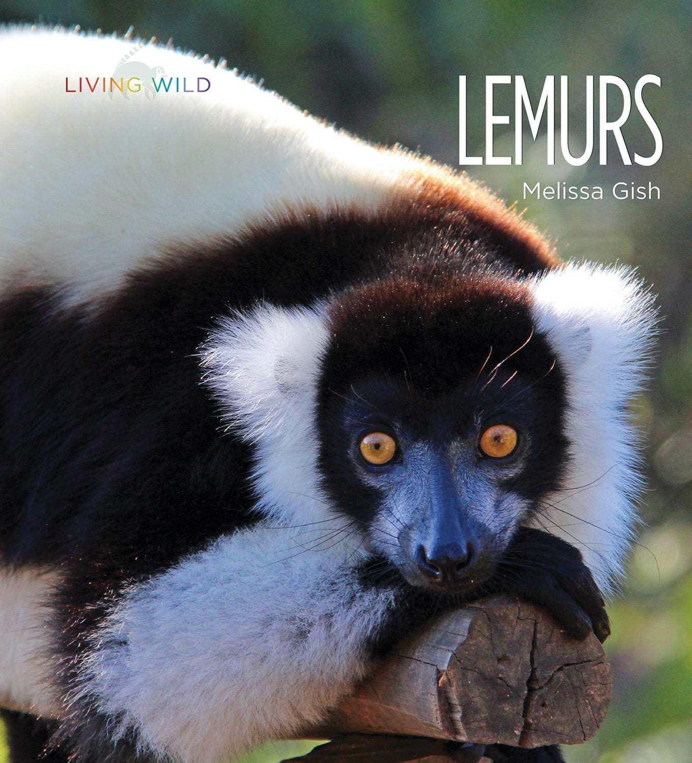 Lemurs: 9781608188307 - Educational Book for Wildlife Enthusiasts & Nature Lovers - Perfect for Classroom Learning & Animal Research