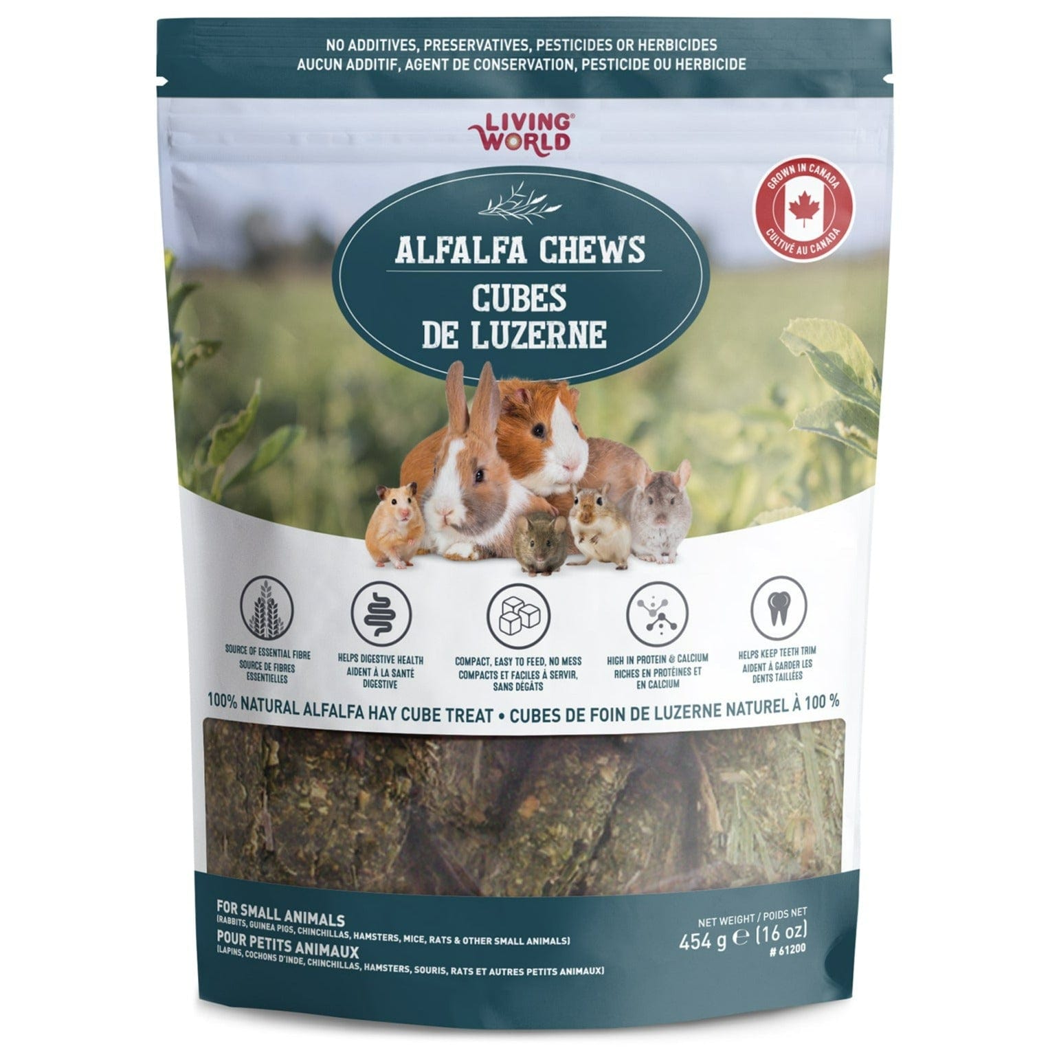 Living World Alfalfa Chews for Small Animals - Healthy Natural Treat for Rabbits, Guinea Pigs & Hamsters - Perfect for Chewing & Dental Care - Indoor & Outdoor Pet Snack