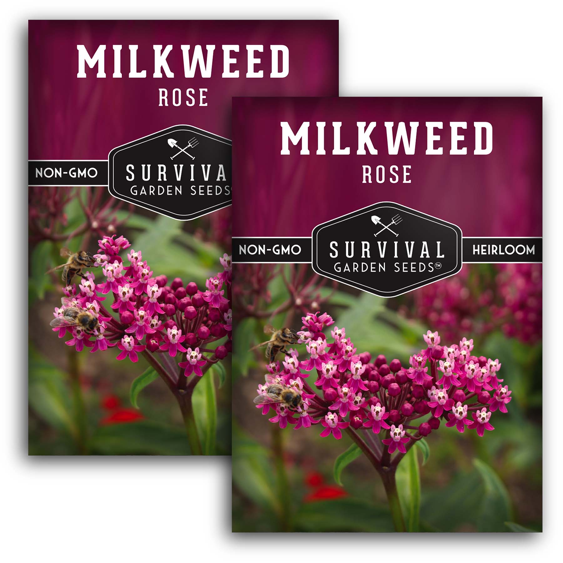 **Buy Rose Milkweed Seeds Online - Asclepias Incarnata for Butterfly Gardens & Pollinator-Friendly Landscaping**