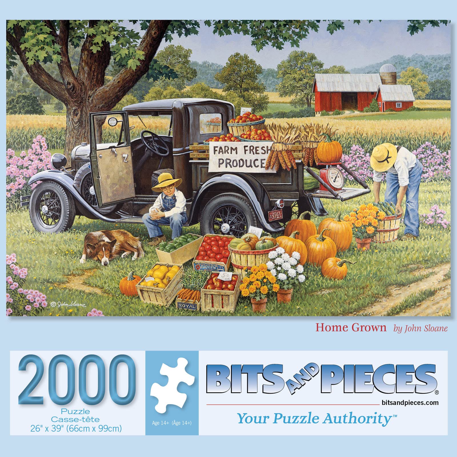 2000 Piece Jigsaw Puzzle for Adults - Fall on The Farm by Artist John Sloane, 26