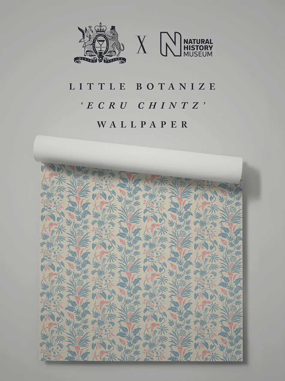 Little Botanist Wallpaper Sample - Peel & Stick Removable Wallpaper for Nursery, Bedroom, Office - Floral Botanical Design - Easy DIY Home Decor