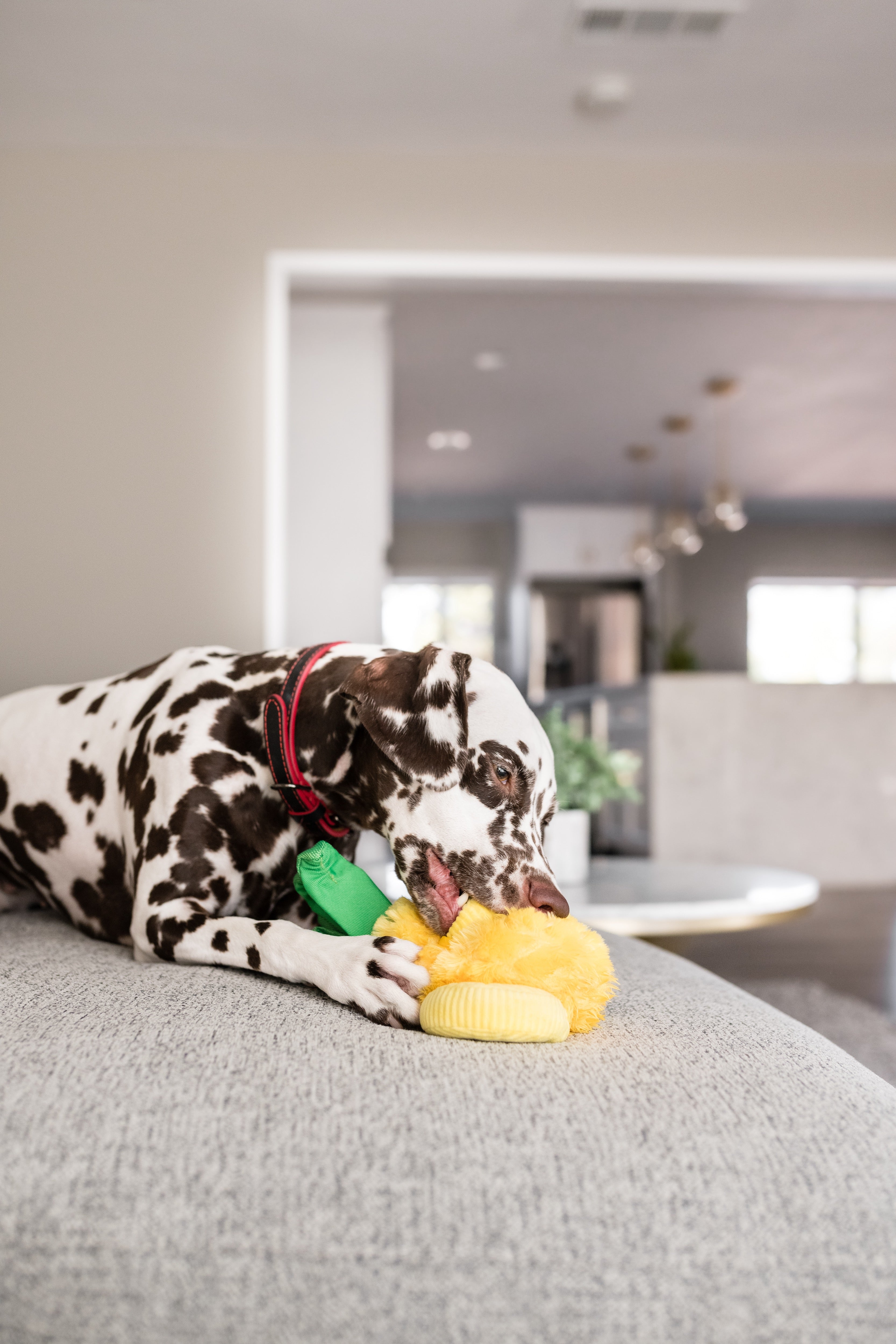 Tropical Paradise™ Dog Plush Toy - La Piña Chew Toy for Dogs | Soft & Durable Pet P.L.A.Y. Puppy Toy | Perfect for Playtime, Training & Cuddling