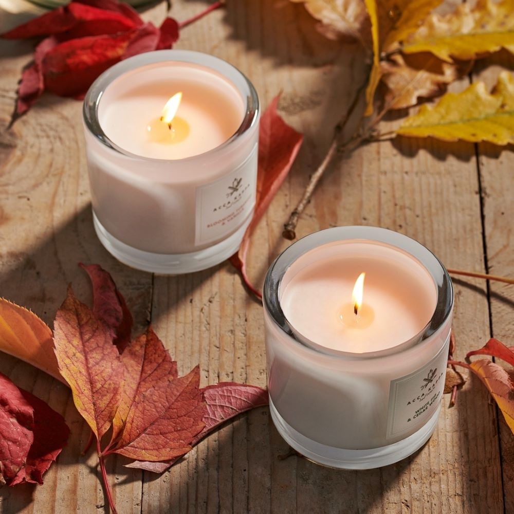 White Moss Scented Candle - Natural Soy Wax Aromatherapy Candle for Home, Relaxation & Meditation | Perfect for Bedroom, Bathroom & Living Room
