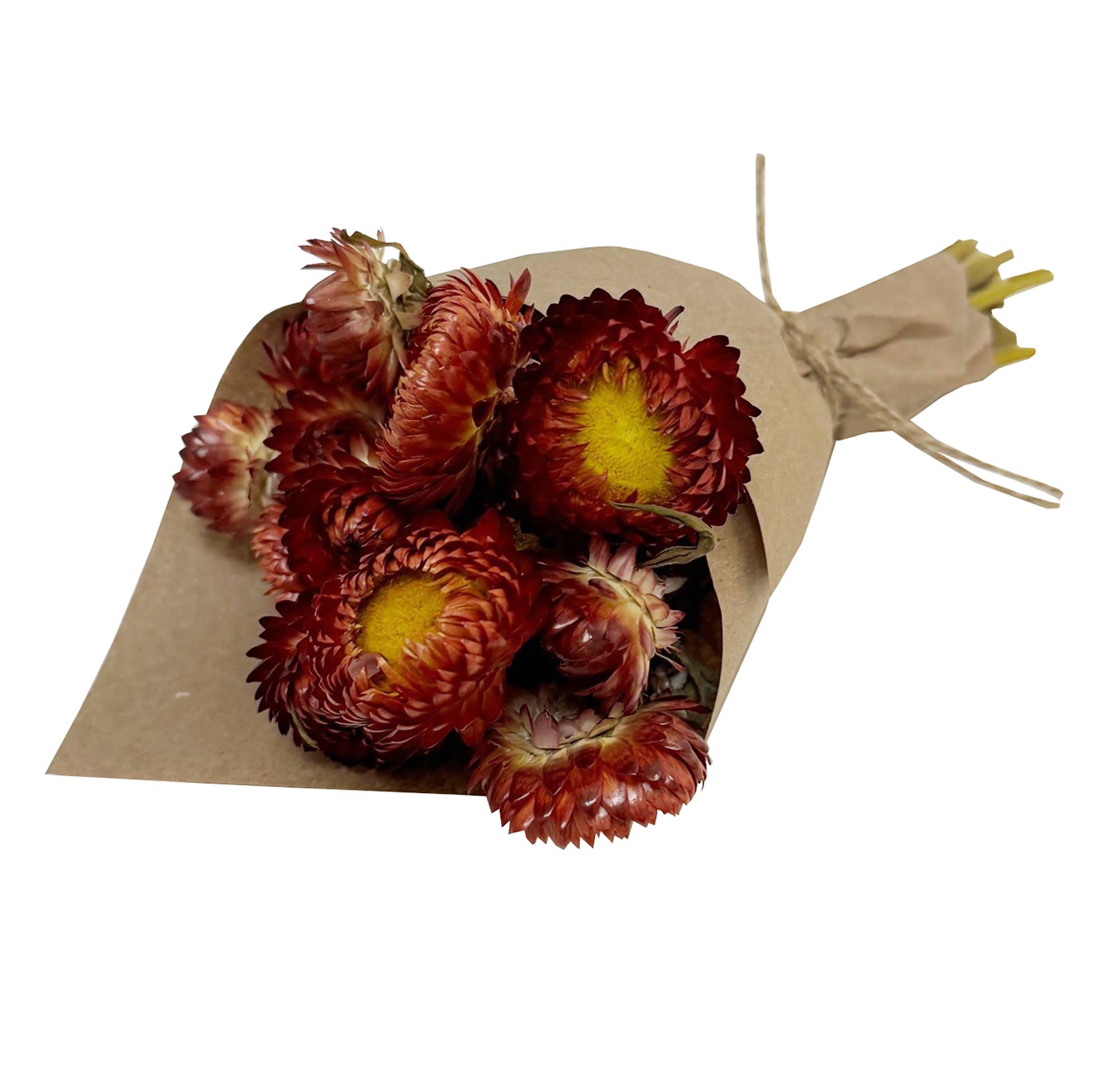 Mini Strawflower Bundle - Orange Artificial Flowers for Home Decor, Wedding Bouquets, and DIY Crafts
