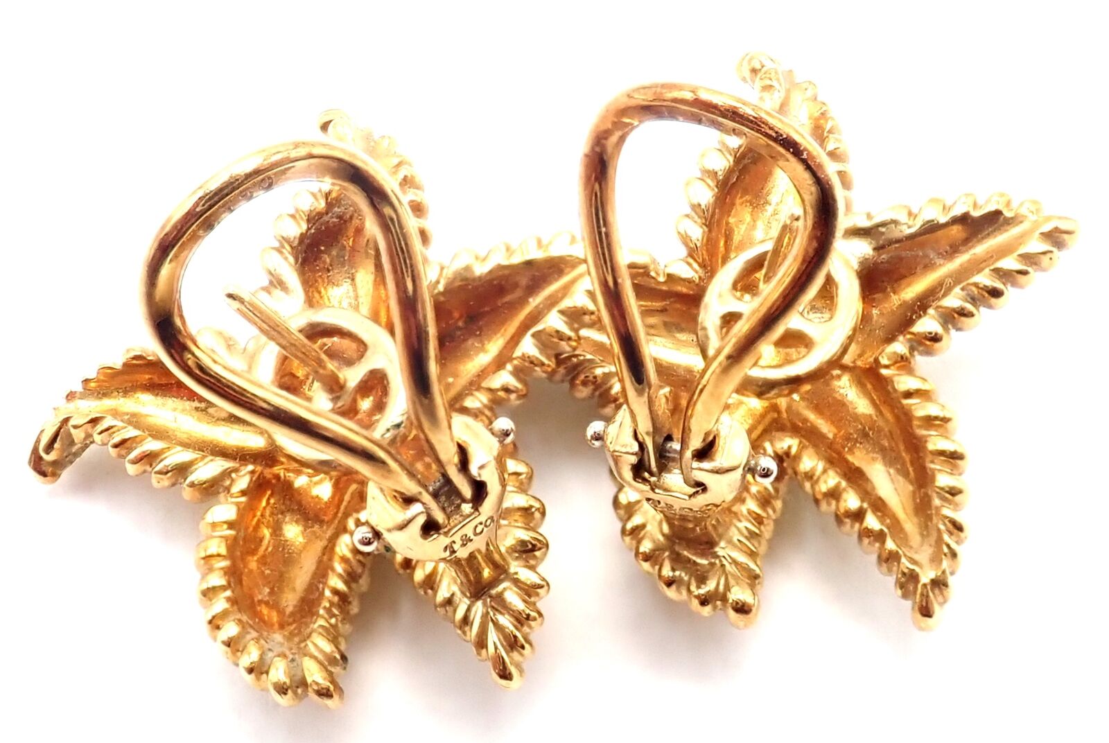 Authentic Vintage Tiffany & Co Starfish 18k Yellow Gold Large Hoop Earrings - Perfect for Weddings, Anniversaries & Special Occasions