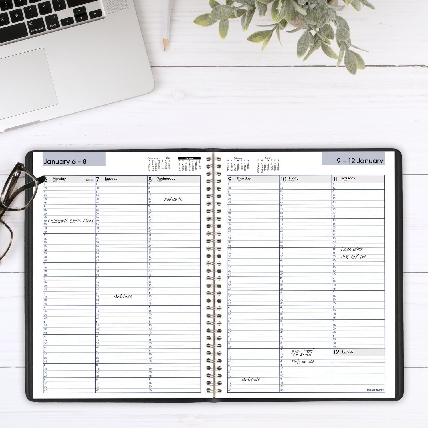 AT-A-GLANCE 2025 Weekly Appointment Book Planner - 8