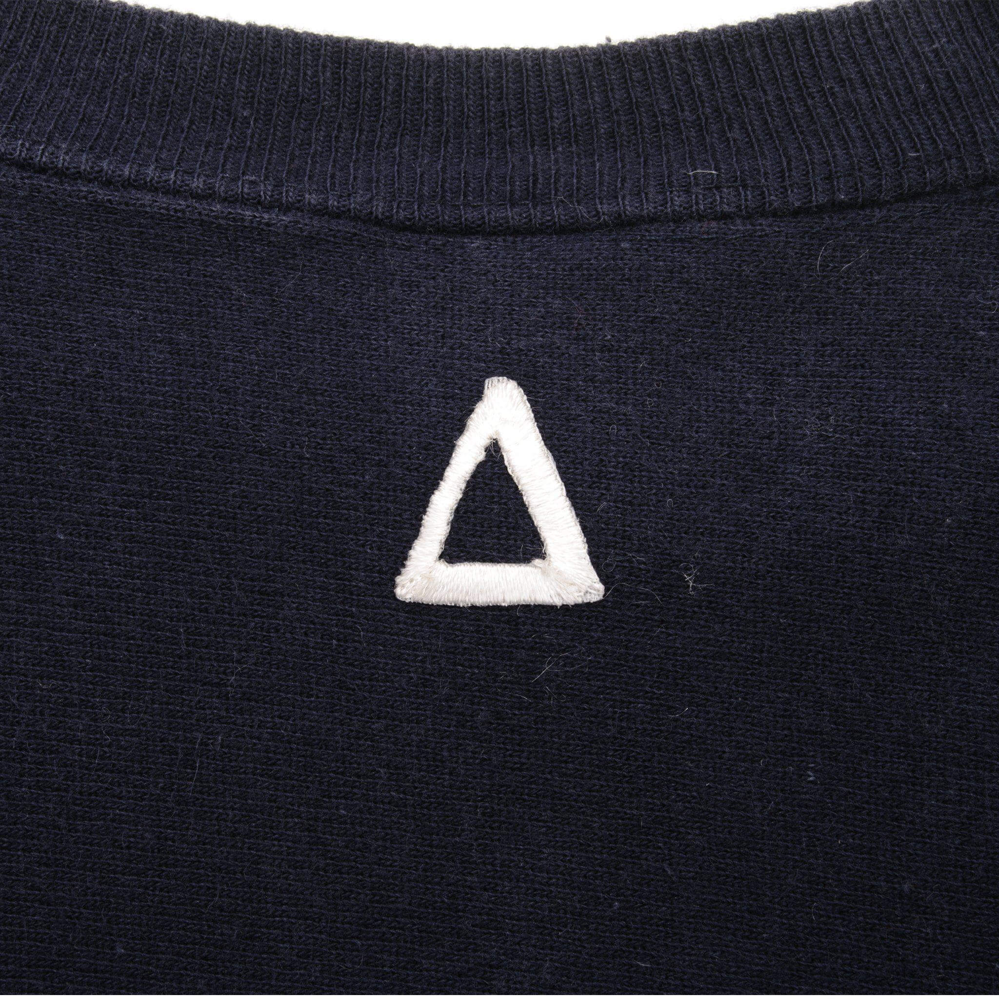 Vintage Champion Reverse Weave Pi Alpha Phi Sweatshirt 1990s XL Made in USA - Retro College Fraternity Hoodie for Men & Women, Perfect for Casual Wear and Greek Life Events