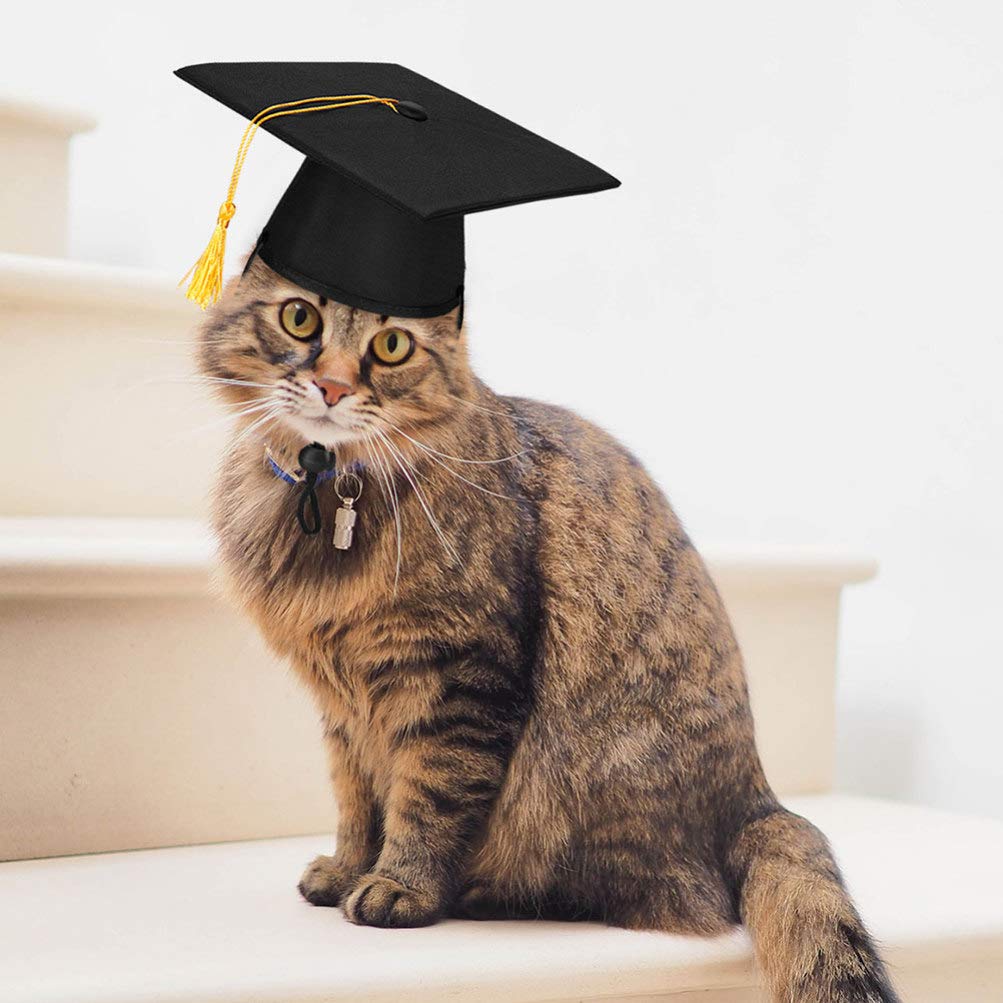 2pcs Mini Graduation Cap for Pets - Dog & Cat Graduation Hat, Costume Accessory for Pet Graduation, Birthday, Photo Shoots & Dress Up Parties