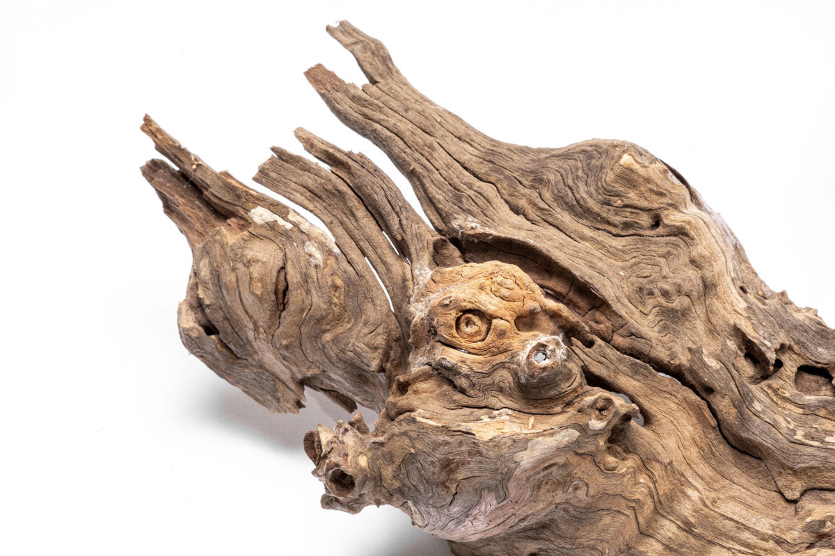Natural Forest Driftwood for Home Decor - Rustic Wood Pieces for DIY Crafts, Aquarium, Terrarium & Wedding Centerpieces - Perfect for Beach Theme, Boho & Nature-Inspired Designs