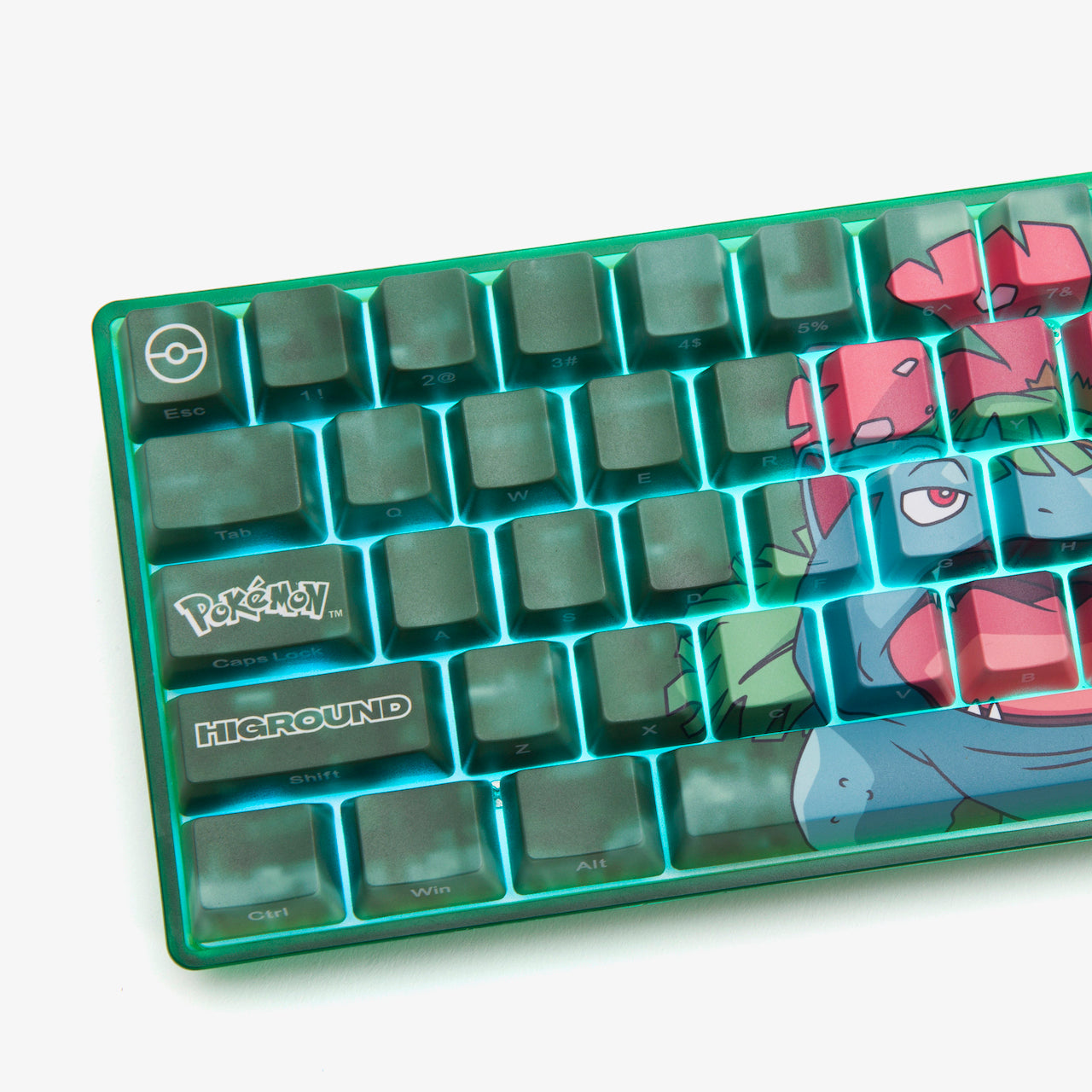 Pokémon + HG Basecamp 65 Mechanical Keyboard - Venusaur Edition for Gaming & Typing | Perfect for Esports, Office Work & Home Use