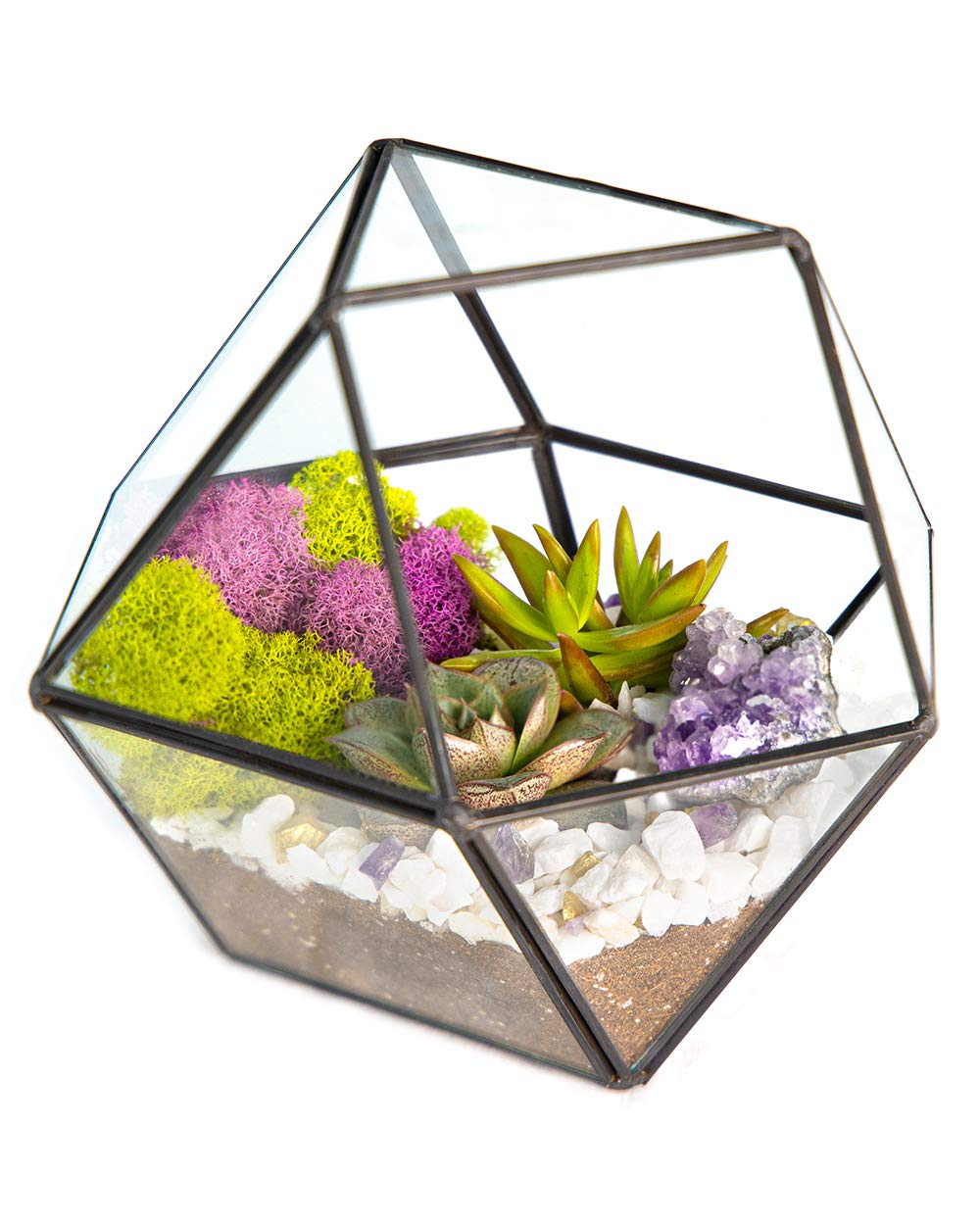 DIY Terrarium Kit for Adults with Live Plants, Decorative Rocks, Moss & Healing Crystals - Glass Geometric Terrarium for Succulents & Air Plants - Handmade in USA - Perfect for Home Decor, Office Desk & Relaxation Gifts
