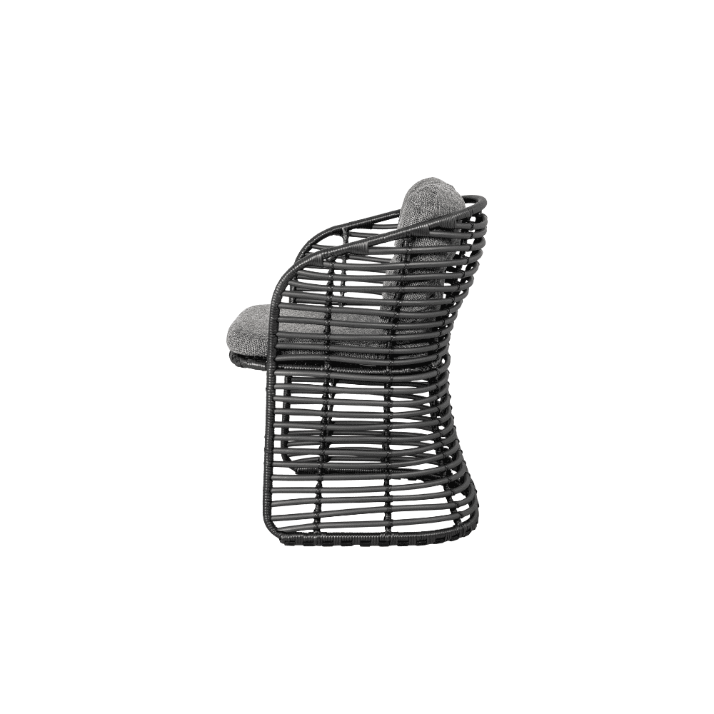 Outdoor Wicker Dining Chairs Set of 2 - Patio Furniture for Garden, Poolside, and Backyard - Weather-Resistant Rattan Chairs with Cushions