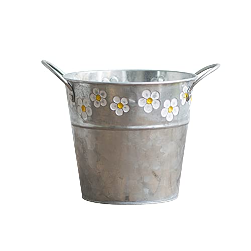 Extra Large Glass Vase for Dried Flowers - Rustic Wrought Iron Hanging Bucket Planter - Vintage Style Flower Arrangement Container for Balcony, Home Decor (1PC) | Perfect for Boho Home Decor, Wedding Centerpieces & Farmhouse Style Interior Design