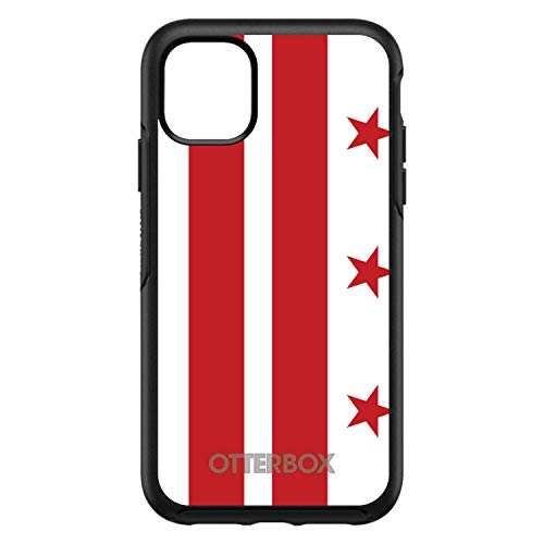 Washington DC Flag