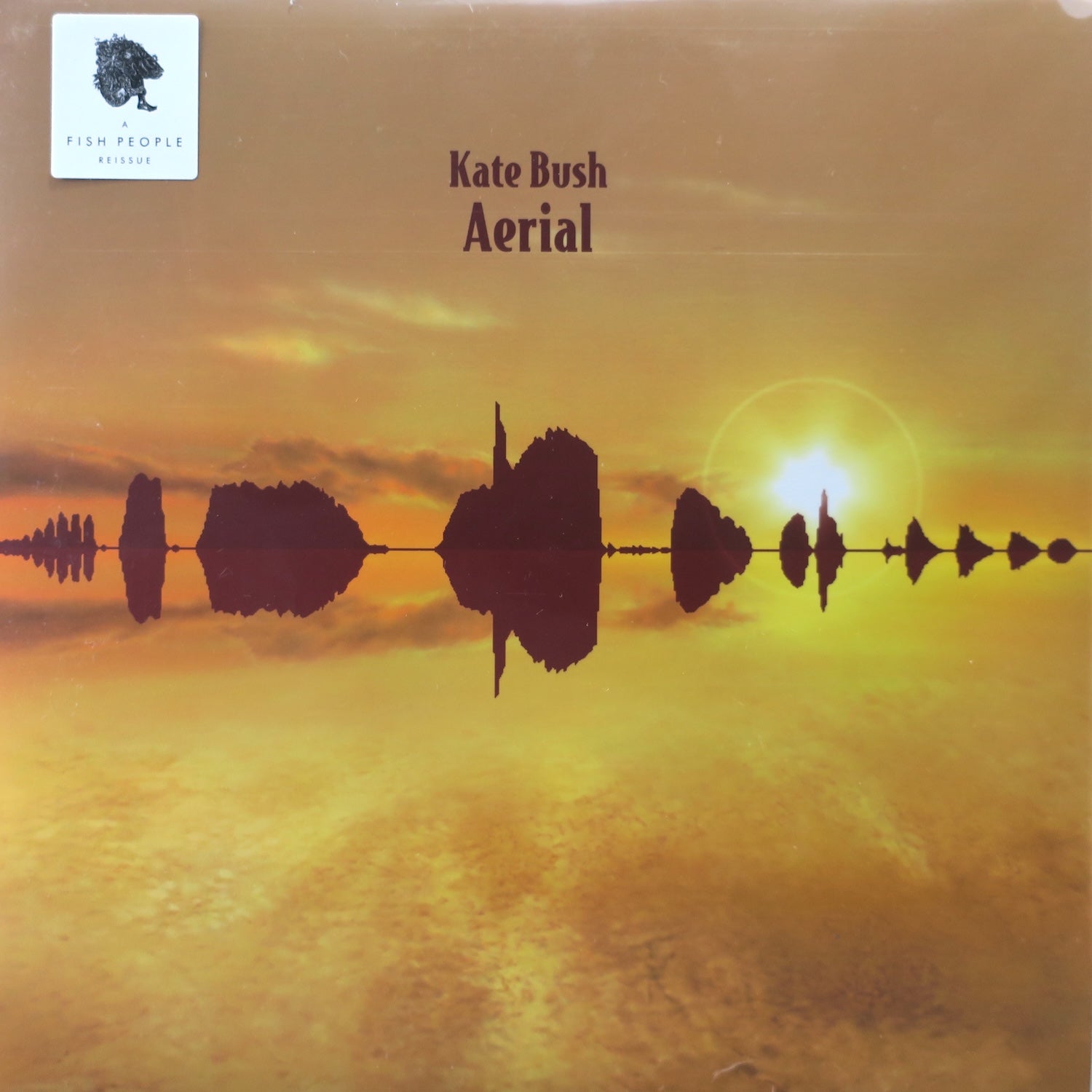 KATE BUSH 'Aerial' Remastered 180g Vinyl 2LP - Limited Edition Audiophile Record for Vinyl Collectors & Music Lovers - Perfect for Home Listening & Gift Giving