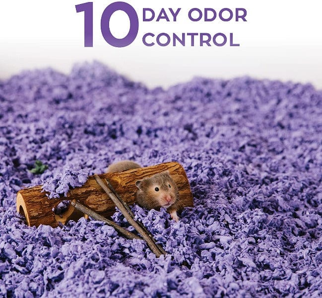 CareFresh Purple Small Animal Bedding - Ultra Soft & Absorbent Hamster, Guinea Pig, Rabbit Bedding for Cages & Habitats - Ideal for Odor Control & Comfort in Small Pet Homes