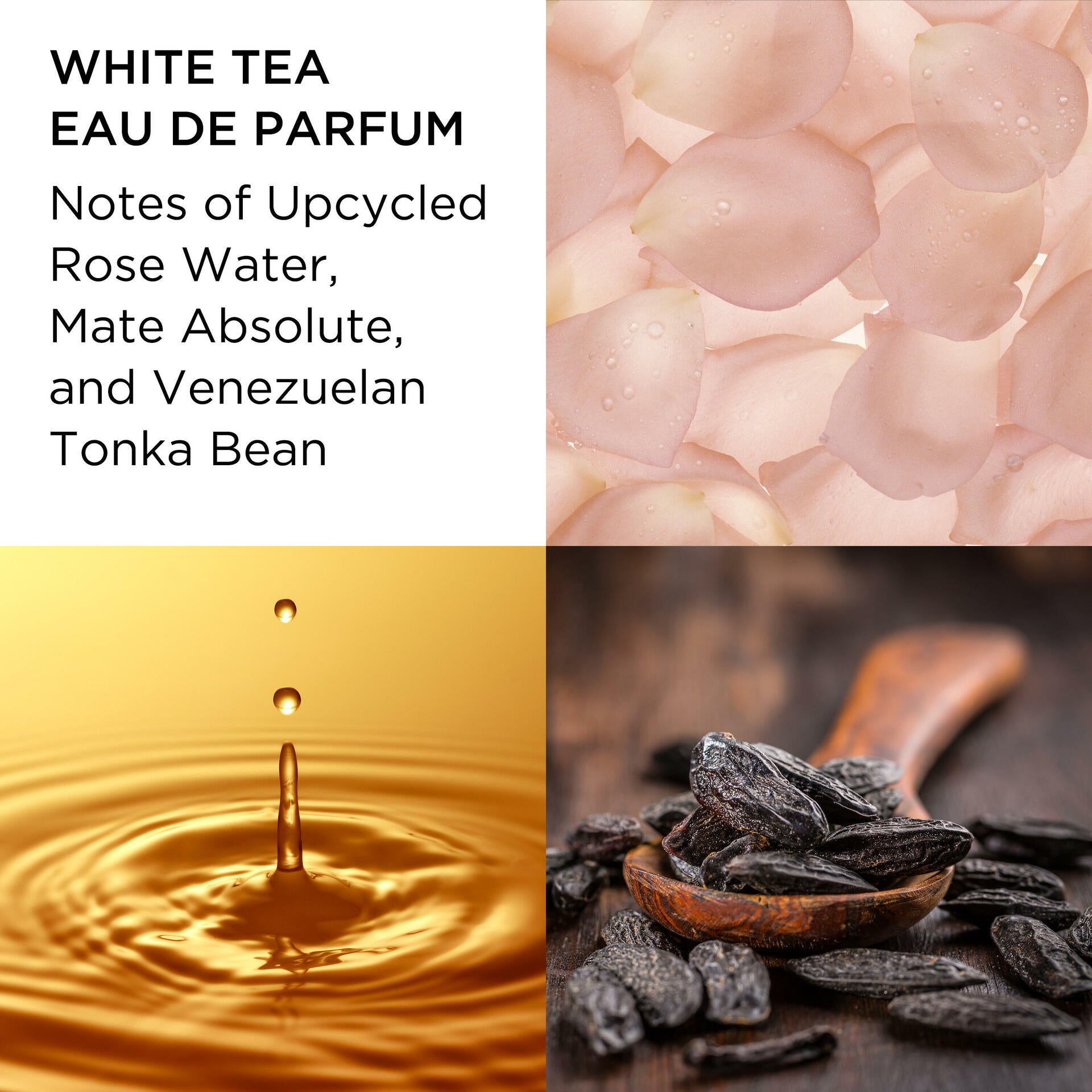 Premium White Tea Eau De Parfum 3.3oz (100ml) - 2 Piece Luxury Fragrance Gift Set for Women | Floral Citrus Scent | Perfect for Daily Wear, Office & Special Occasions