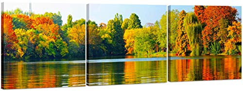 5241 - Autumn Forest Lake