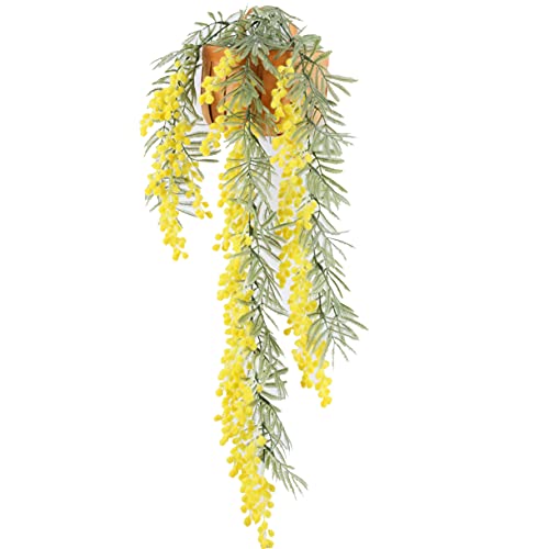 Hanging Vine