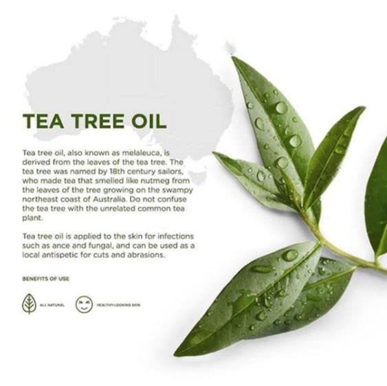 100% Pure Tea Tree Essential Oil for Skin, Hair & Face - Natural Acne Treatment & Dandruff Solution - Perfect for Aromatherapy, DIY Beauty & Scalp Care