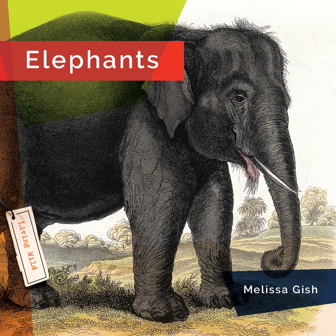 Elephants Book 9781640265257 - Wildlife Education & Nature Exploration for Kids & Adults | Perfect for School Projects, Animal Lovers & Home Libraries