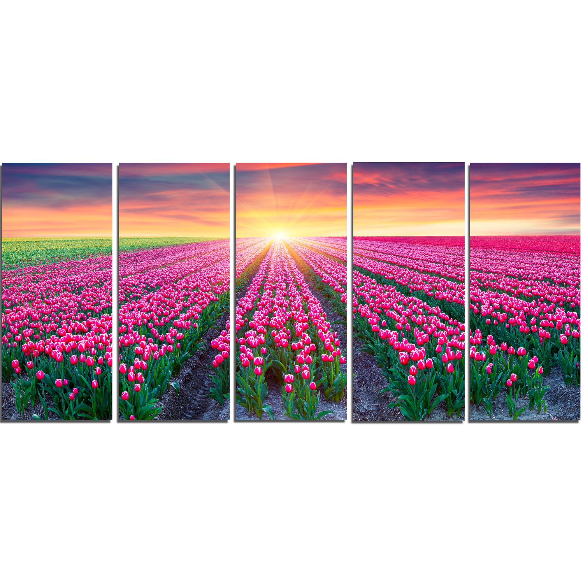 Designart Blooming Tulips at Sunrise - Metal Wall Art Decor - 5 Panel Canvas Print - 60x28 Inches - Modern Home & Office Wall Decor - Perfect for Living Room, Bedroom, or Office Spaces