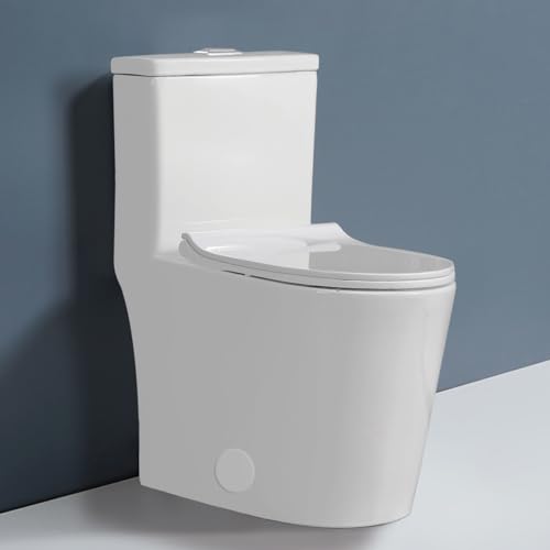 White toilet with Chrome Button