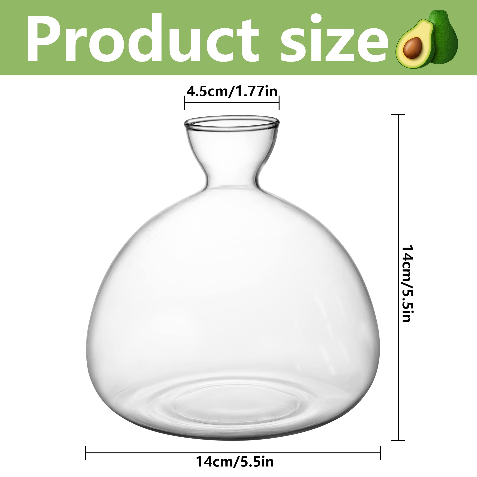 Avocado Tree Growing Kit - Glass Seed Starter Vase with Avocado Stickers | Indoor Gardening Gift Set for Home, Office & Kitchen Decor | Perfect for Plant Lovers & Sustainable Living