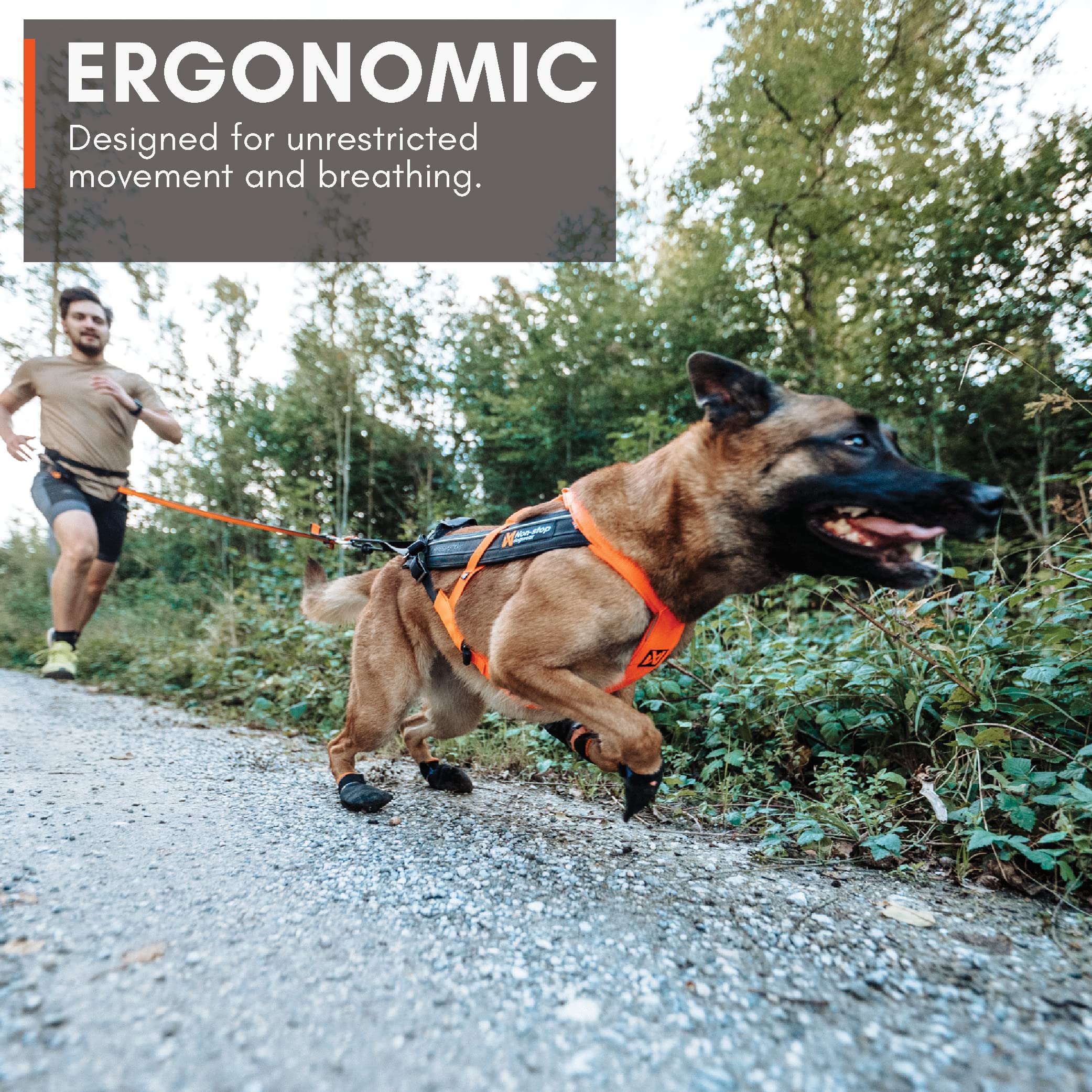 Non-Stop Dogwear Freemotion Harness 5.0 - Adjustable No-Pull Dog Harness for Running, Biking & Skiing | Professional Reflective Sports Harness for Active Dogs | Blue/Gray Size 7 | Perfect for Outdoor Adventures & Canine Fitness Training
