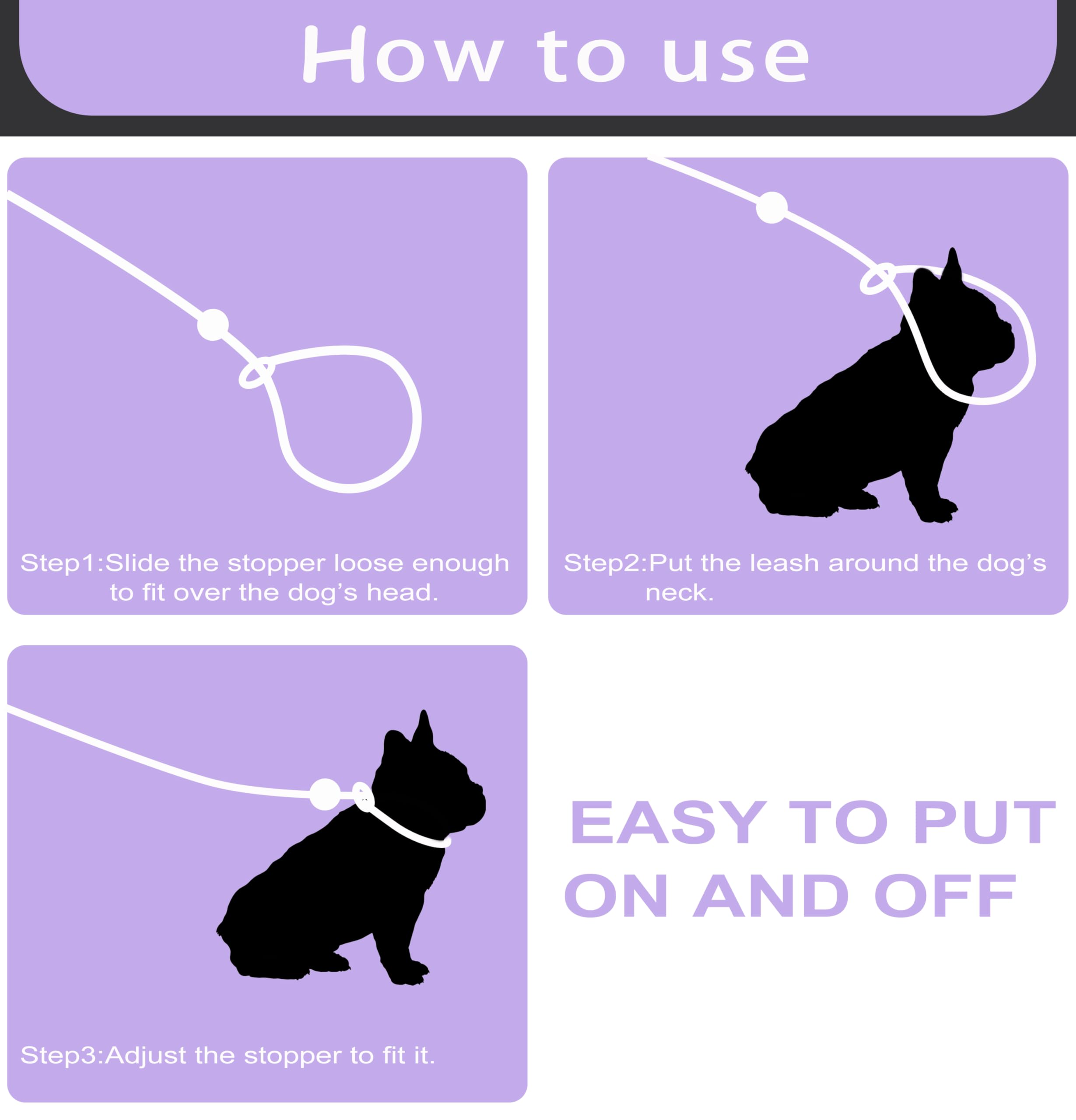 6FT No Pull Slip Lead Dog Leash - Lightweight Training Leash for Small & Medium Dogs | Adjustable Slip Collar for Walking, Training & Outdoor Activities (Purple)