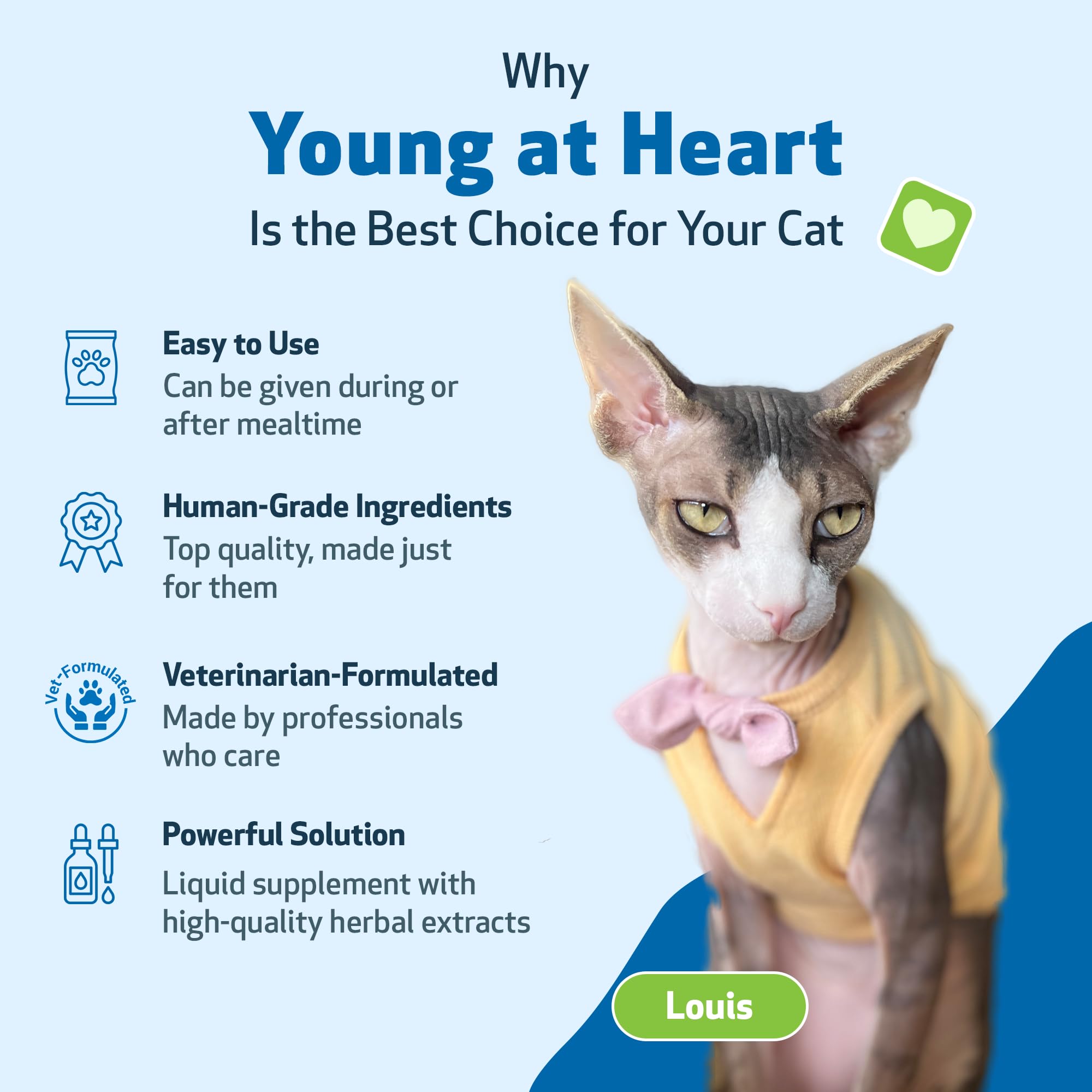 Pet Wellbeing Young at Heart for Cats - Vet-Formulated Herbal Supplement with Hawthorn, Motherwort & Schisandra for Heart Health & Circulation - 2 fl oz (59 ml) - Supports Cardiovascular System for Senior & Adult Cats at Home