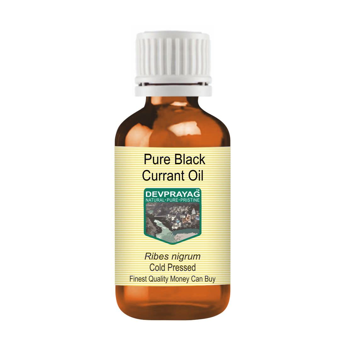Pure Black Currant Oil (Ribes nigrum) - 100% Natural, Cold Pressed, Therapeutic Grade - 5ml Bottle for Skin Care, Hair Growth & Joint Health