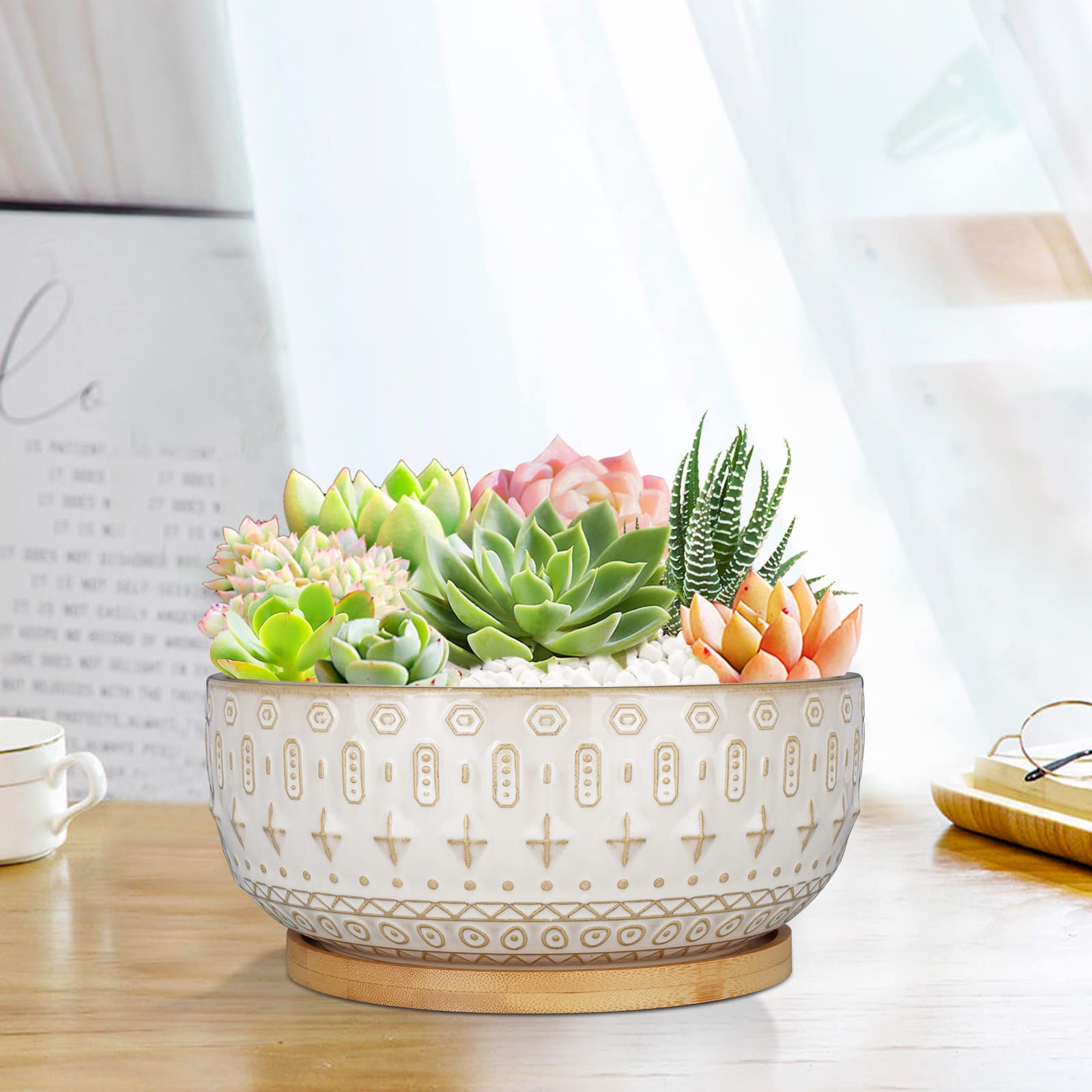 8 Inch White Ceramic Succulent Planter Pots with Drainage Hole - Round Shallow Bonsai Flower Pot with Bamboo Tray for Indoor Plants - Perfect for Home Decor, Office Desk, and Gift Ideas