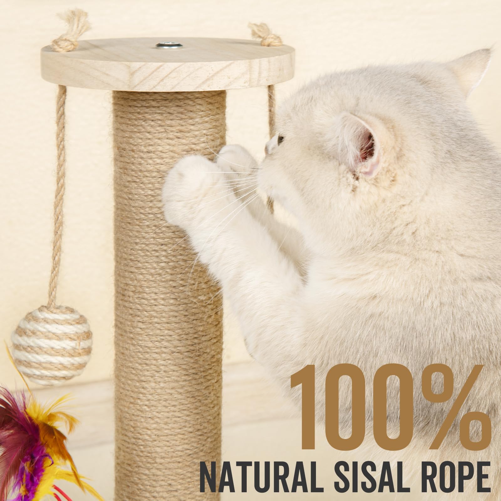 Premium Cat Scratching Post with Solid Wooden Base & Interactive Track Ball Toys - 45cm Tall Kitten Scratcher for Indoor Cats - Perfect for Playtime, Exercise & Furniture Protection