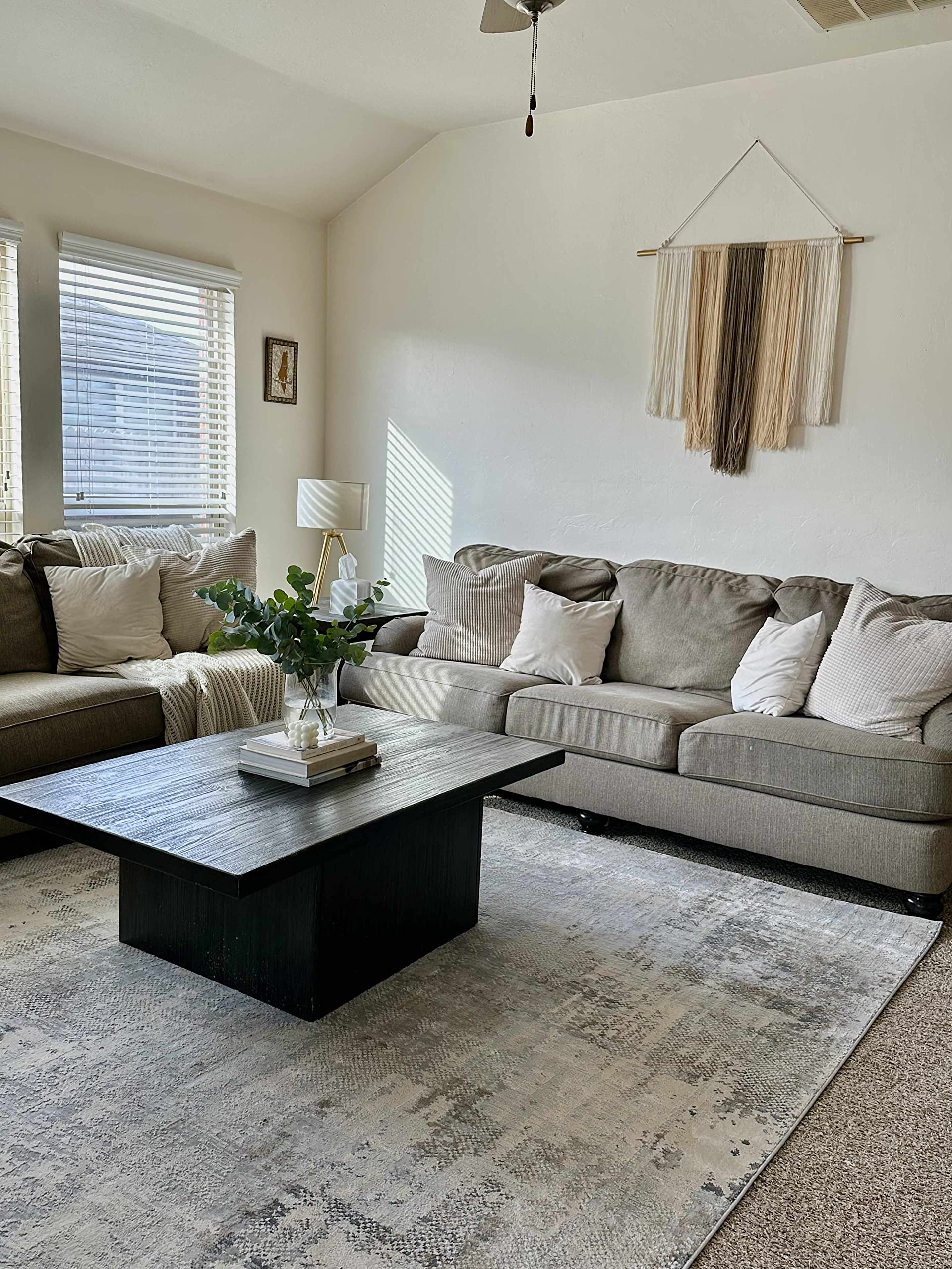 Hauteloom Ironwood Modern Gray Area Rug 5'3