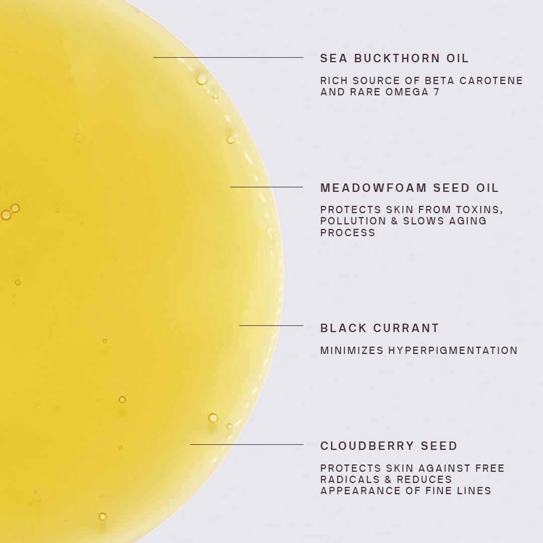Dermaclara Daily Restorative Face Oil with Jojoba Oil - Hydrating & Anti-Aging Treatment for Women & Men - Nourishing Superfood Formula for Overnight Moisture & Youthful Glow - 30ml - Perfect for Nighttime Skincare Routine & Dry Skin Relief