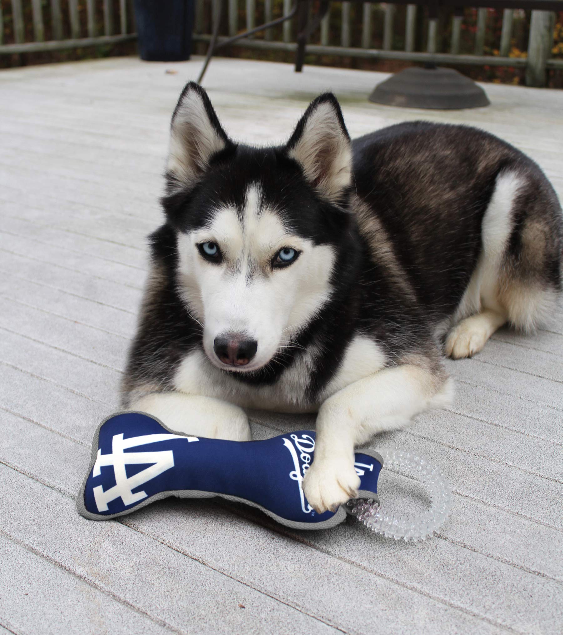 MLB Los Angeles Dodgers Bone-Shaped Dental Dog Tug Toy with Squeaker - Durable Chew Toy for Teething Puppies, Teeth Cleaning & Gum Health - Perfect for Playtime, Training & Interactive Fun with Your Pet