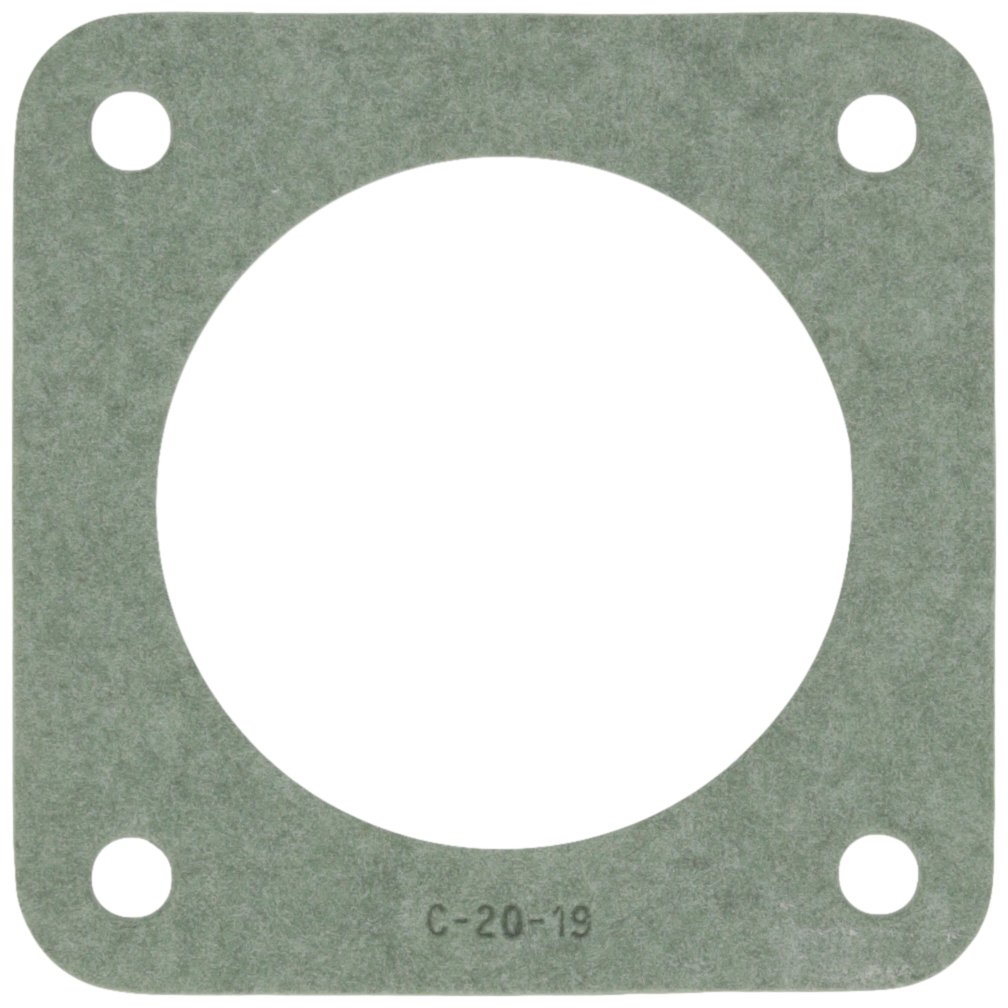 Pentair C20-19 Flange Gasket Replacement for Sta-Rite Commercial Pool & Spa Pumps - Durable Seal for Water Filtration Systems, Swimming Pools, and Hot Tubs