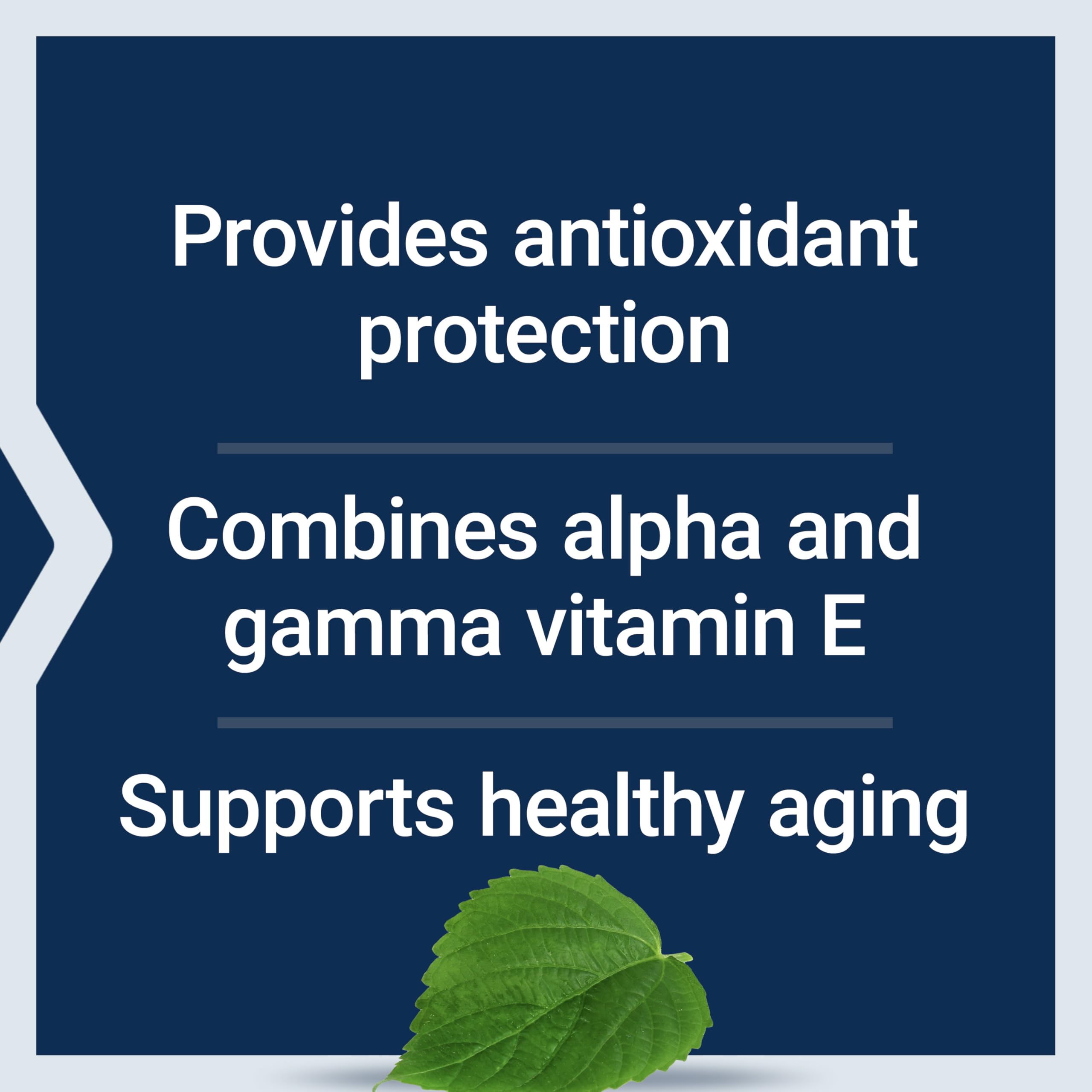 Life Extension Gamma E Mixed Tocopherols Vitamin E Supplement with Sesame Lignans - 60 Softgels for Healthy Aging | Gluten-Free, Non-GMO | Supports Heart, Skin & Immune Health | Perfect for Daily Wellness Routine & Antioxidant Protection
