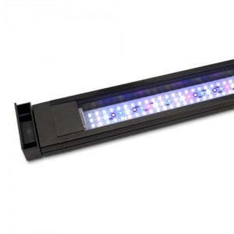 Fluval 3.0 Plant Spectrum Bluetooth LED Aquarium Light 46W for 36-48 Inch (91-122cm) Tanks - Full Spectrum Lighting for Aquatic Plants & Fish, Smart Control via App - Perfect for Freshwater Planted Tanks & Aquascaping