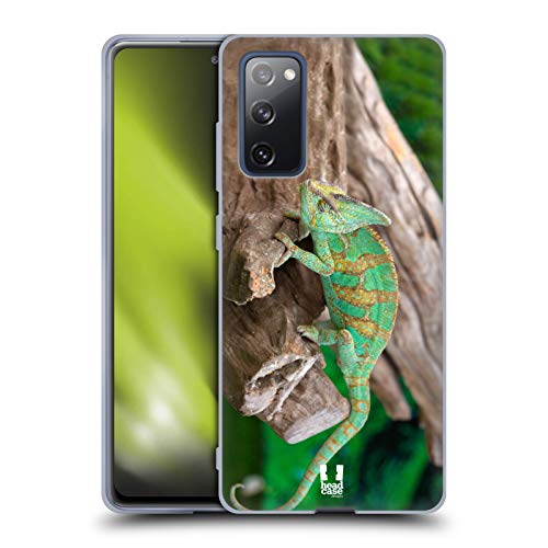 Chameleon