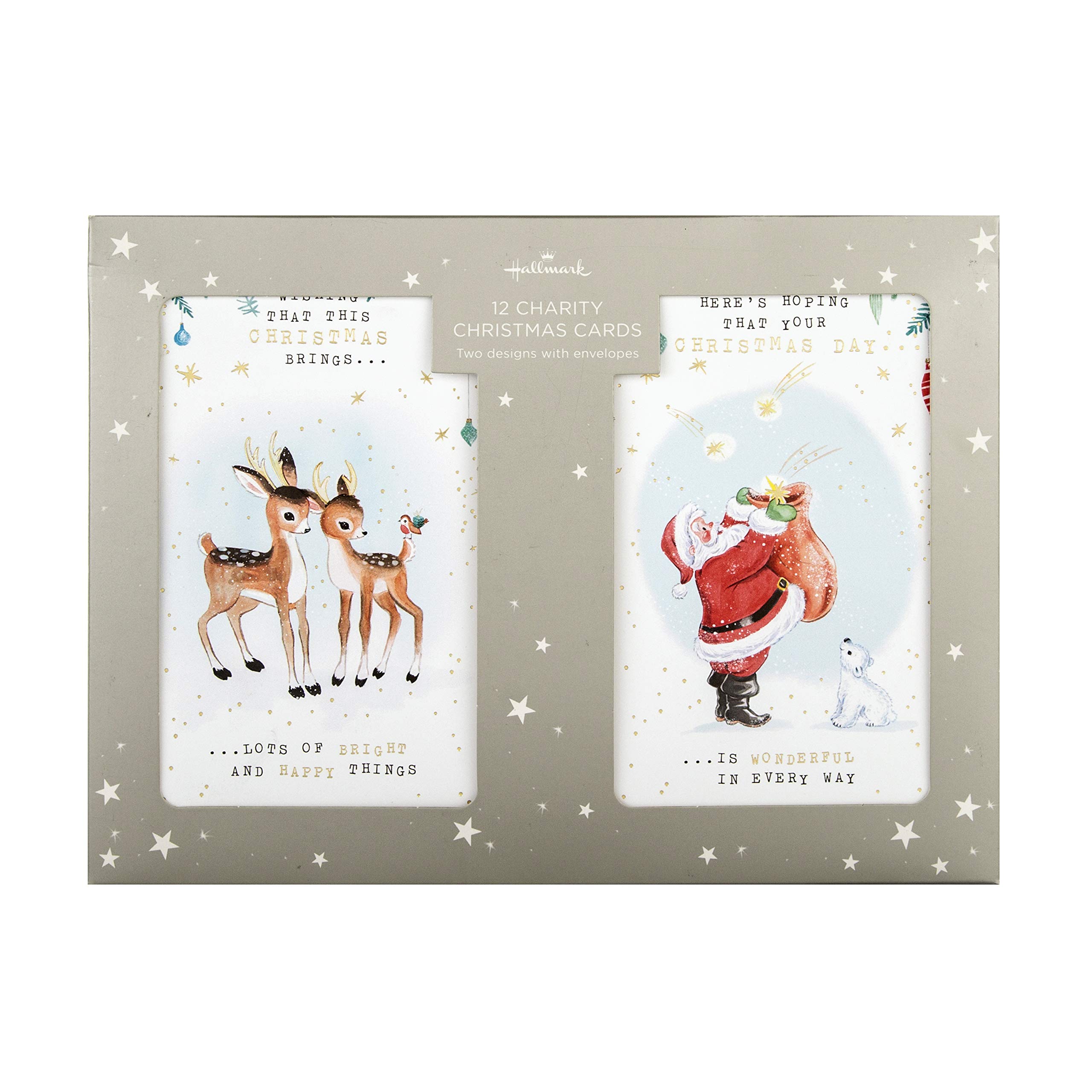 Hallmark Cute Characters Boxed Charity Christmas Cards - 12 Cards in 2 Vintage Designs for Holiday Greetings & Gift Giving