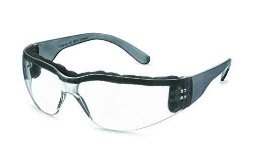 Foam Clear Anti-fog Lens/Clear Temple