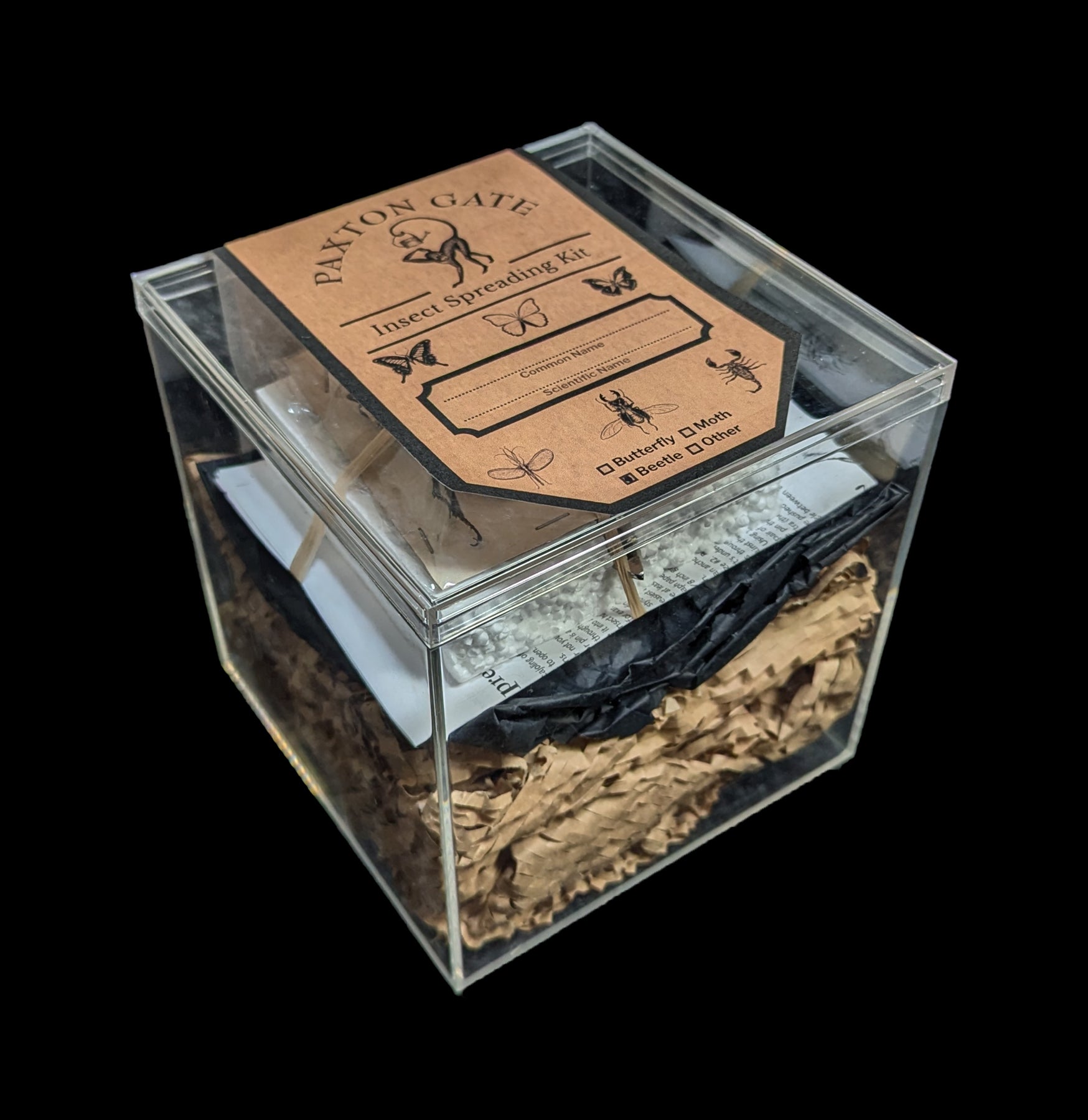 Paxton Gate Premium Insect Spreading Kit - Entomology Display Tools for Butterfly & Bug Collections - Perfect for Science Classrooms, Nature Studies & Taxidermy Hobbyists