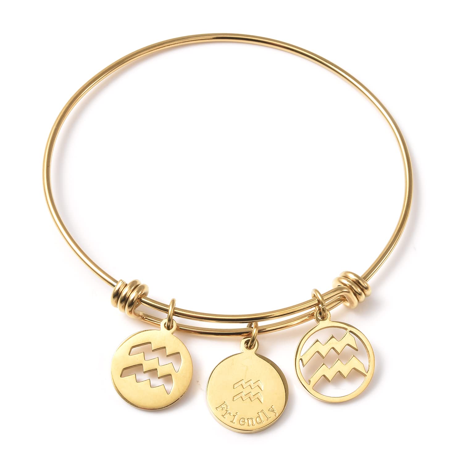 Stainless Steel Aquarius Zodiac Bracelet Set for Women - Gold Plated, Size 6-9