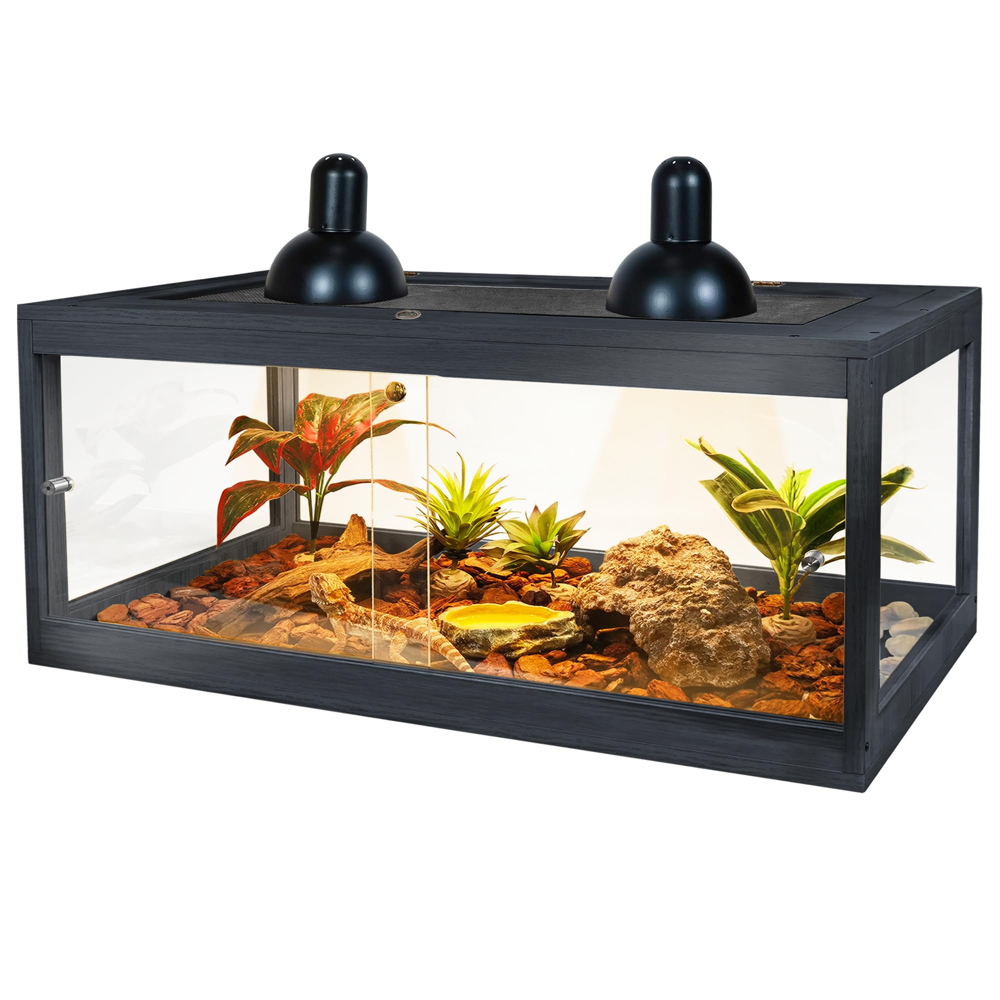 81 Gallon Bearded Dragon Tank - 48