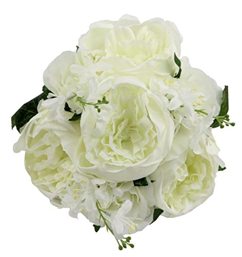 Cream