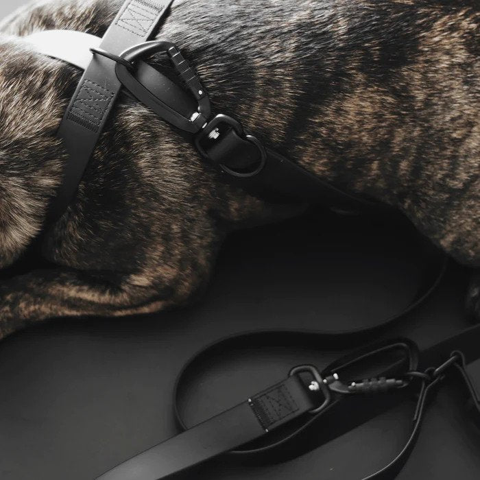 Mellem X Waterproof Dog Leash - Durable Reflective Nylon Pet Leash for Small Medium Large Dogs - Perfect for Walking, Running, Hiking & Outdoor Adventures