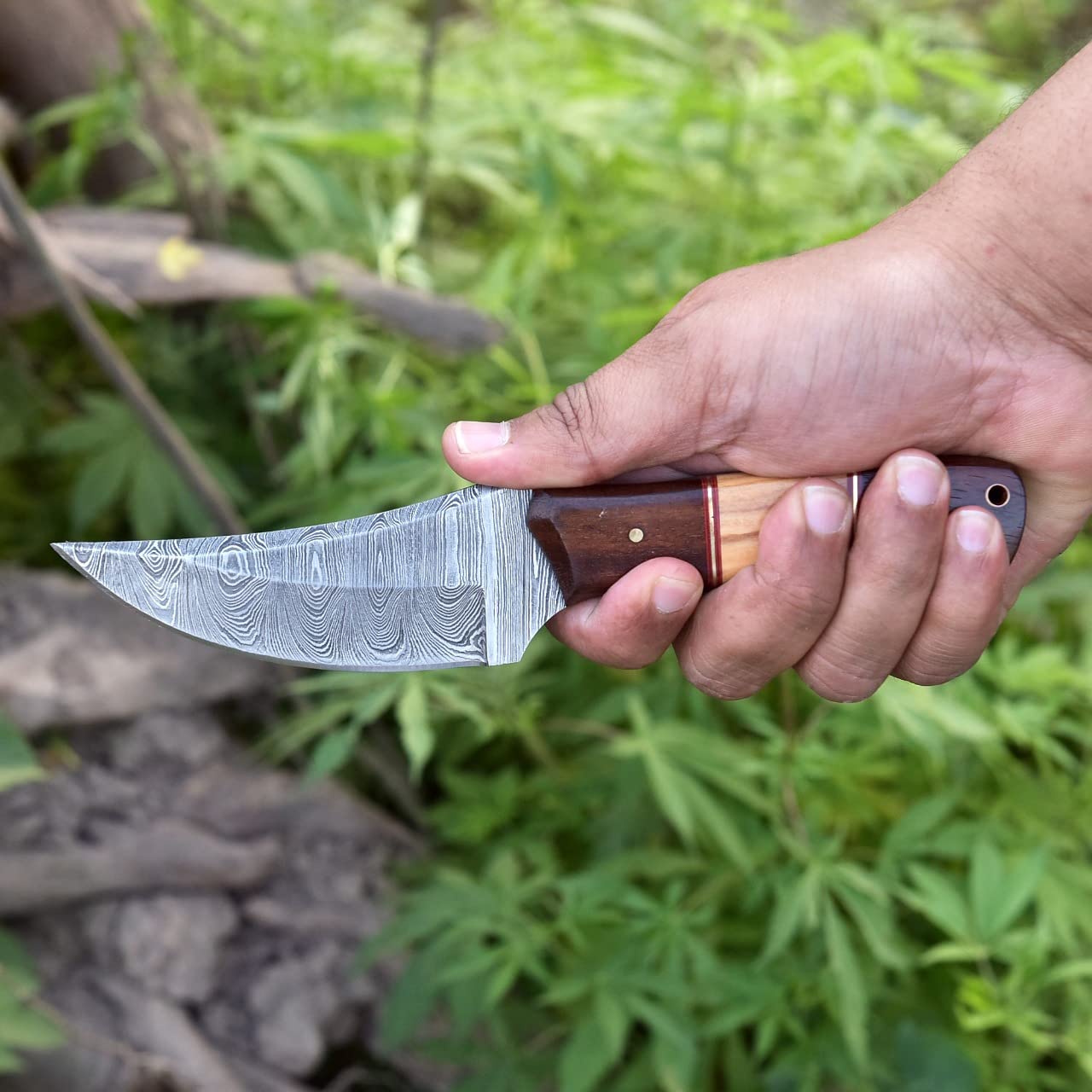 Premium Handmade Damascus Steel Hunting Knife - 8 Inch Fixed Blade with Leather Sheath - G-038 (Wood & Olive Handle) - Perfect for Outdoor Adventures, Camping, Hunting and Survival Gear
