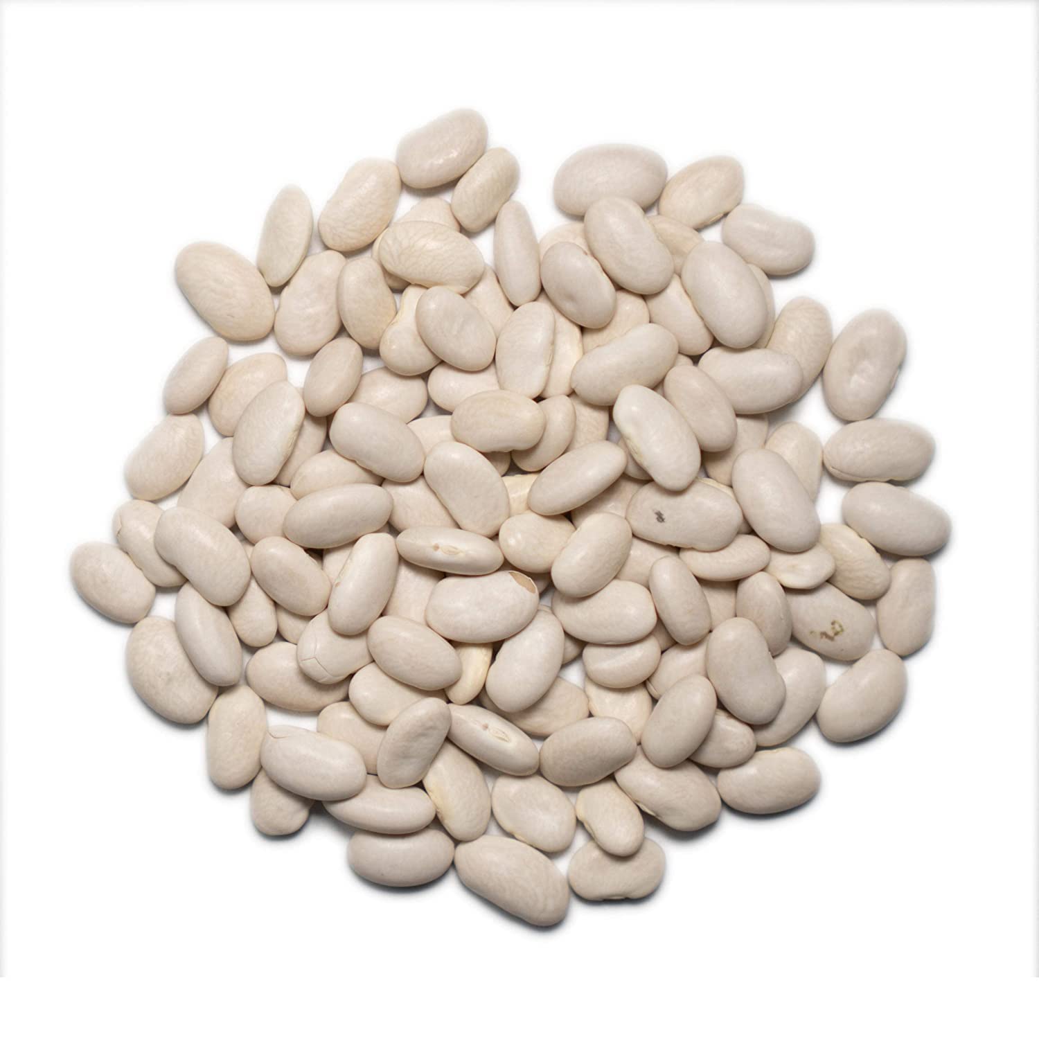 1000 Springs Mill Organic Great Northern Beans 25lb Bulk Bucket - Premium Dry White Beans for Salads, Soups, Stews & Chili - Vegan, Non-GMO Bulk Food - Perfect for Meal Prep, Camping & Emergency Storage